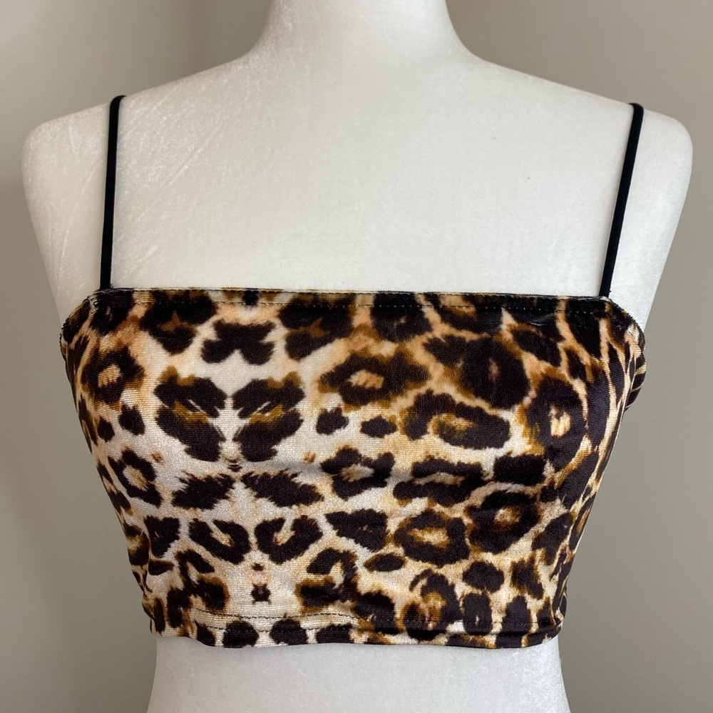 Animal Print Bandeau Crop Top